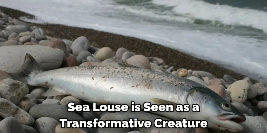 Sea Louse is Seen as a 
Transformative Creature