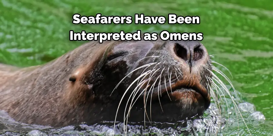 Seafarers Have Been 
Interpreted as Omens