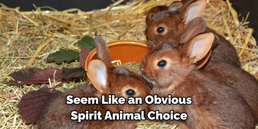 Seem Like an Obvious 
Spirit Animal Choice