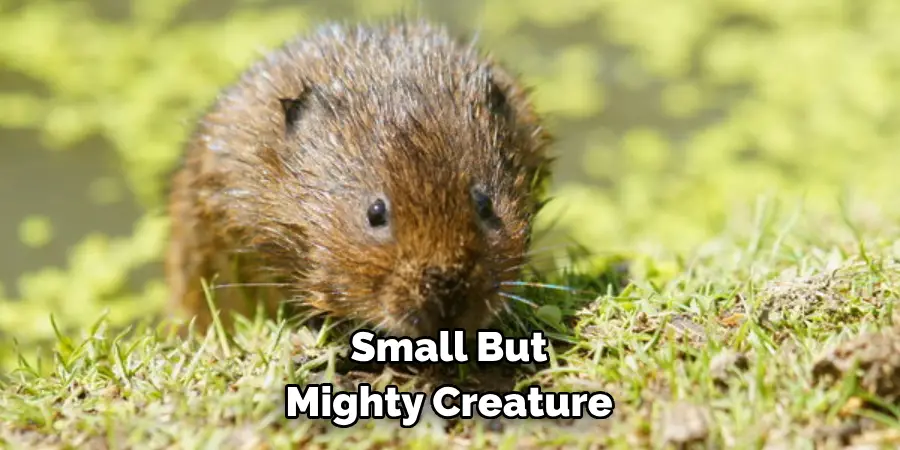 Small but 
Mighty Creature