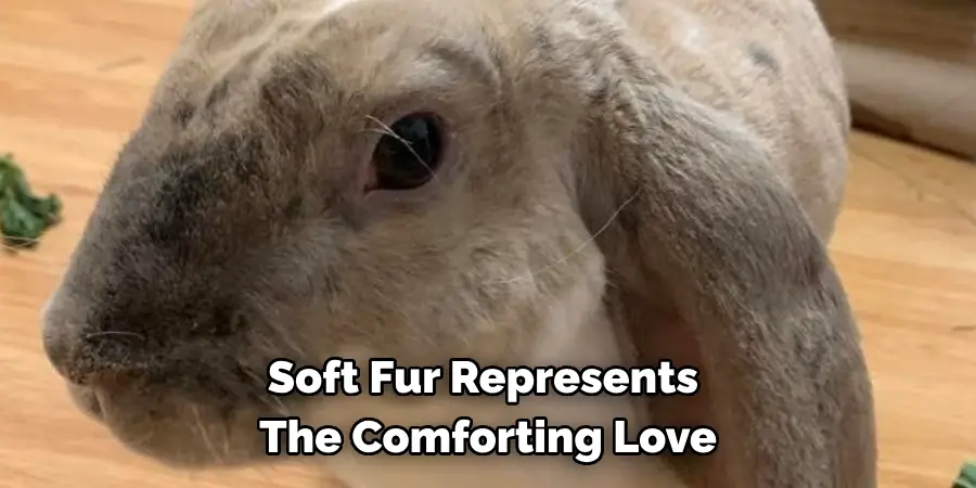 Soft Fur Represents The Comforting Love