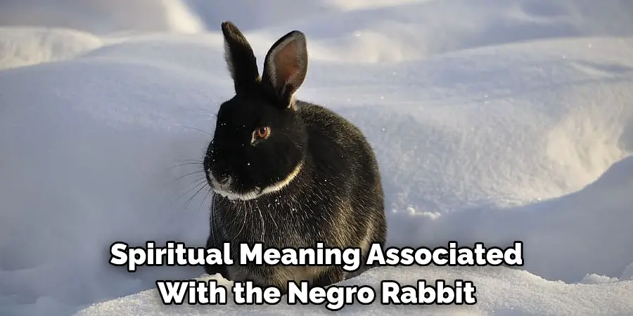 Spiritual Meaning Associated With the Negro Rabbit