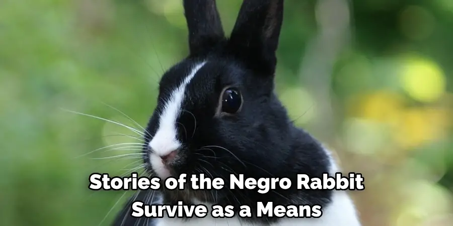 Stories of the Negro Rabbit 
Survive as a Means