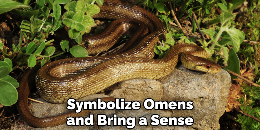 Symbolize Omens and Bring a Sense
