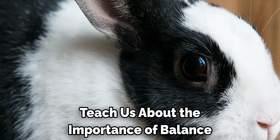 Teach Us About the
Importance of Balance