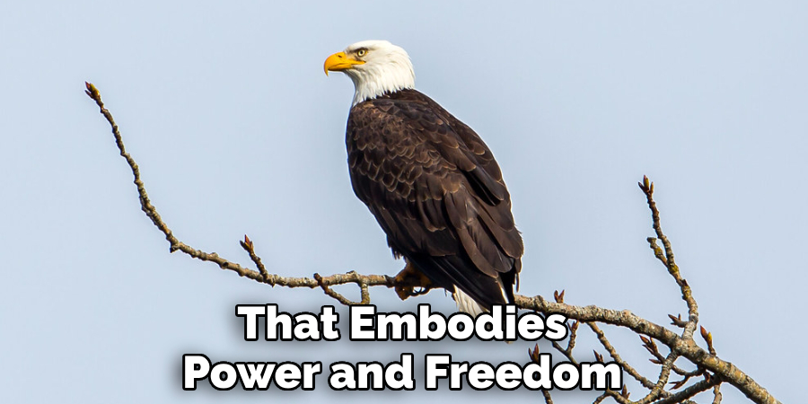 That Embodies Power and Freedom