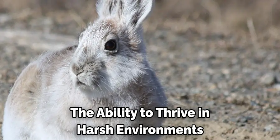 The Ability to Thrive in 
Harsh Environments