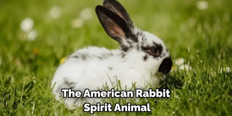 American Spiritual Meaning, Symbolism and Totem | Detailed Guide