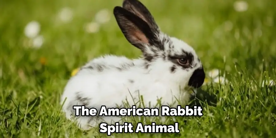 The American Rabbit
 Spirit Animal
