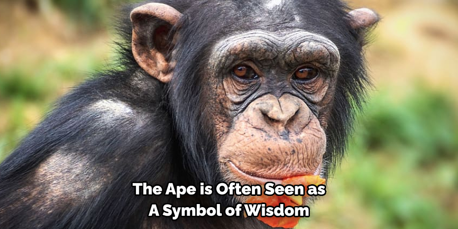 The Ape is Often Seen as 
A Symbol of Wisdom