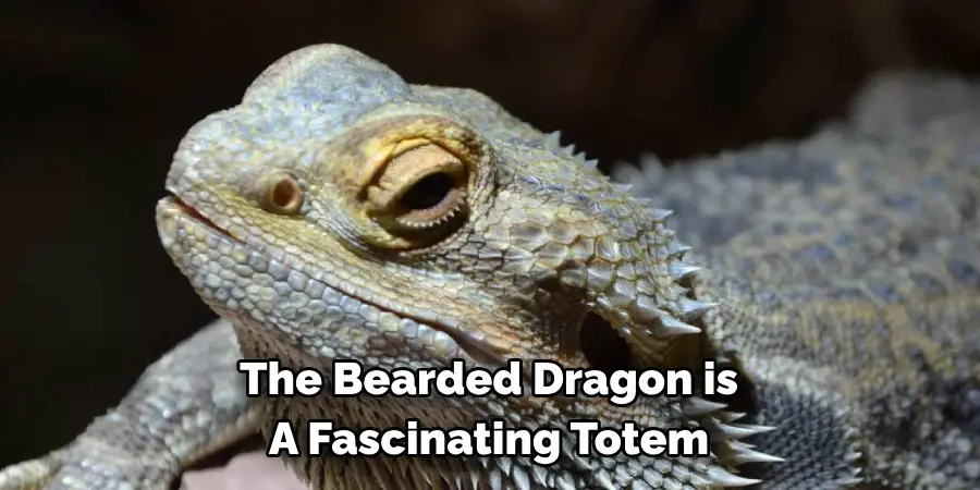 The Bearded Dragon is 
A Fascinating Totem 