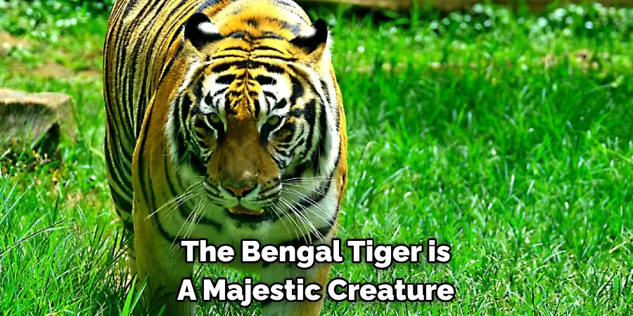 The Bengal Tiger is 
A Majestic Creature