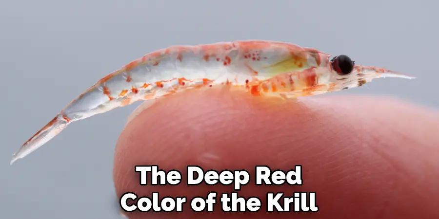 The Deep Red Color of the Krill