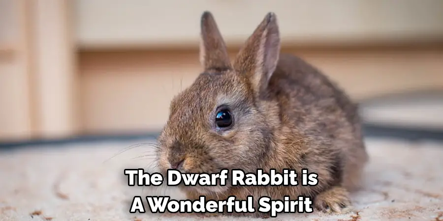 The Dwarf Rabbit is 
A Wonderful Spirit