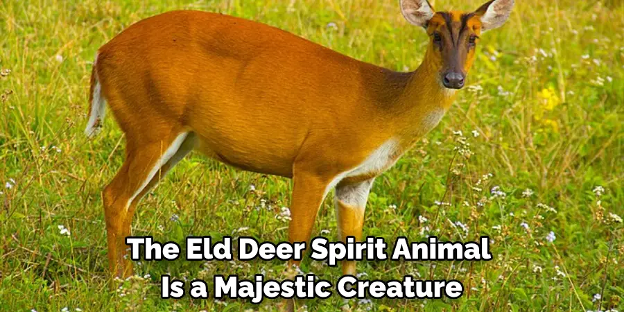 The Eld Deer Spirit Animal 
Is a Majestic Creature