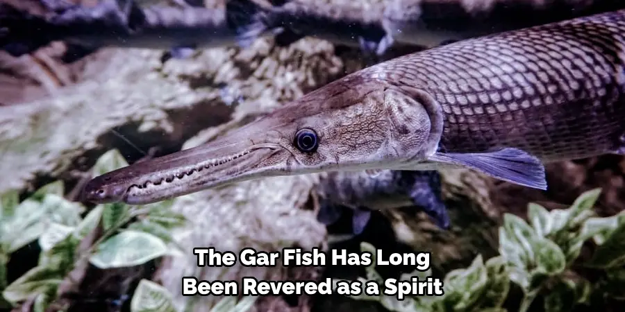 The Gar Fish Has Long 
Been Revered as a Spirit