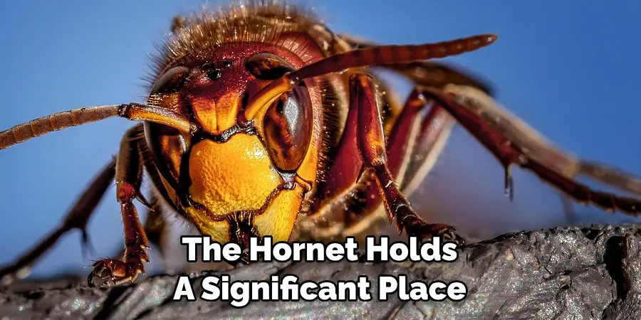 The Hornet Holds 
A Significant Place