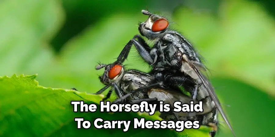 The Horsefly is Said 
To Carry Messages