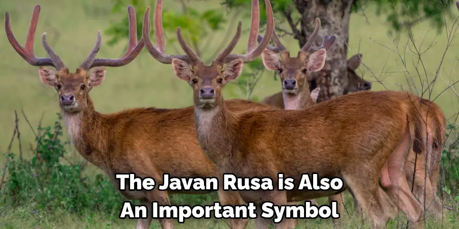 The Javan Rusa is Also 
An Important Symbol