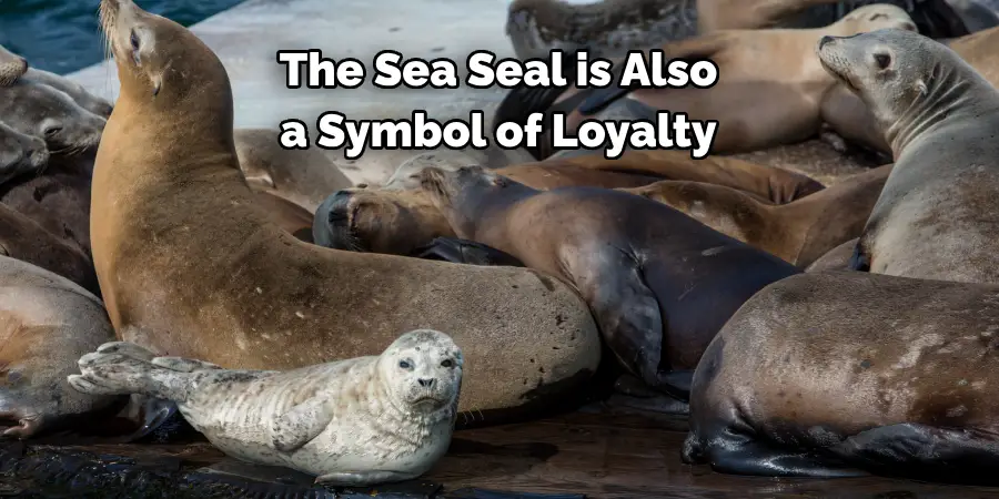 The Sea Seal is Also 
a Symbol of Loyalty