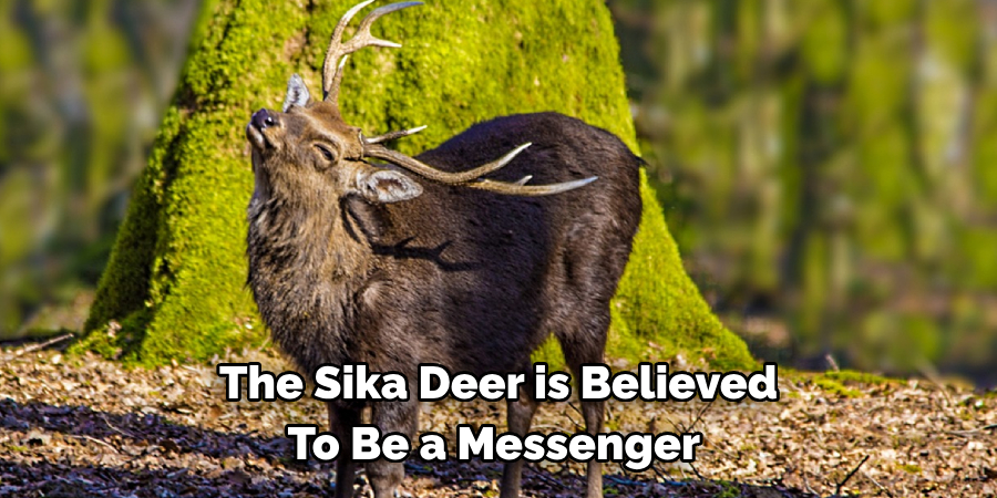 The Sika Deer is Believed 
To Be a Messenger 