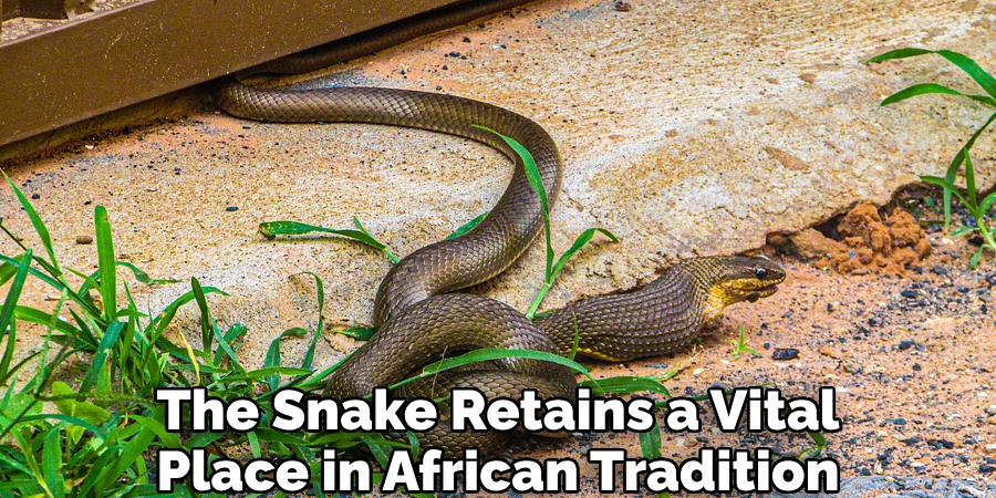 The Snake Retains a Vital Place in African Tradition