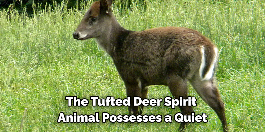 The Tufted Deer Spirit 
Animal Possesses a Quiet