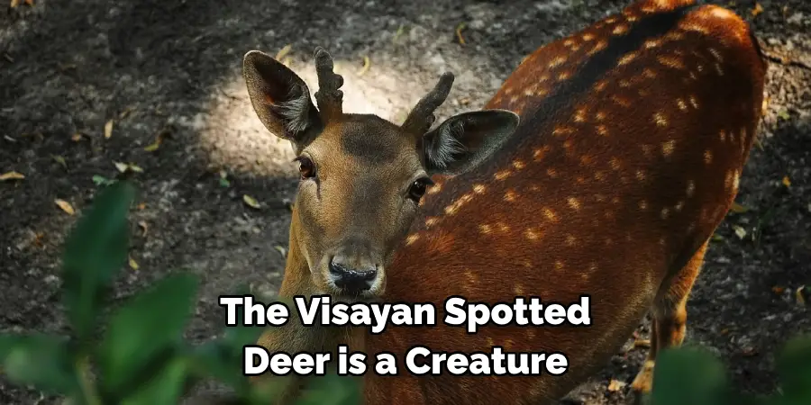 The Visayan Spotted 
Deer is a Creature