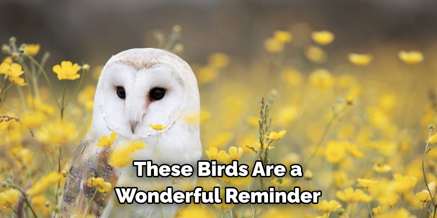 These Birds Are a 
Wonderful Reminder