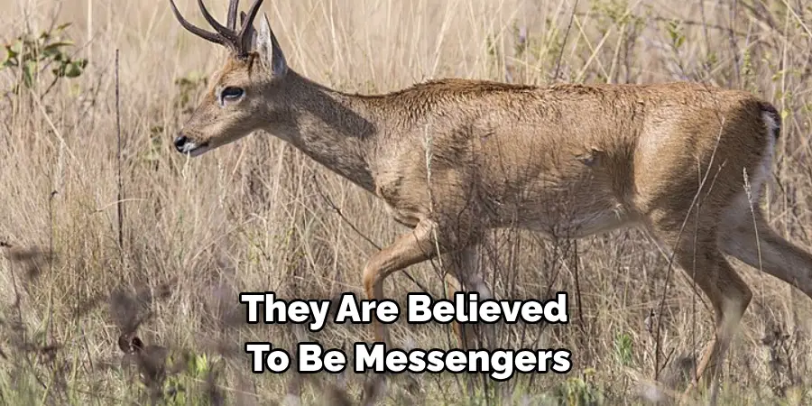They Are Believed 
To Be Messengers