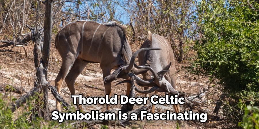 Thorold Deer Celtic 
Symbolism is a Fascinating