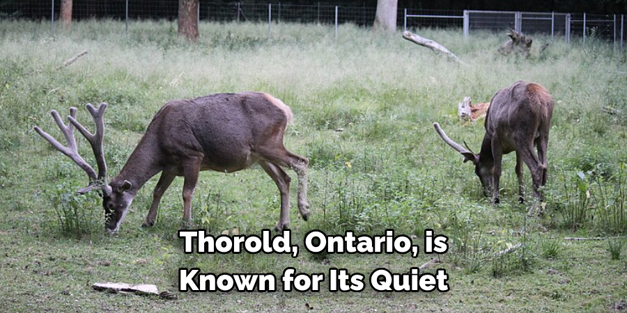 Thorold, Ontario, is Known for Its Quiet