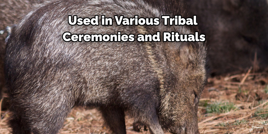 Used in Various Tribal 
Ceremonies and Rituals