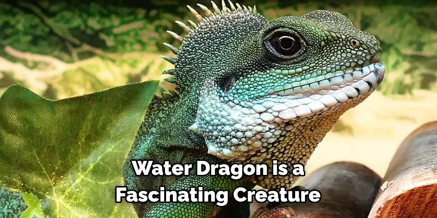 Water Dragon is a 
Fascinating Creature