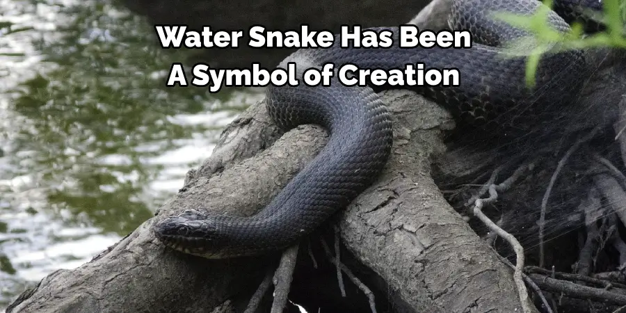 Water Snake Has Been
A Symbol of Creation
