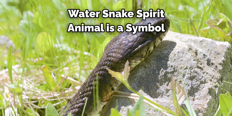 Water Snake Spirit 
Animal is a Symbol 