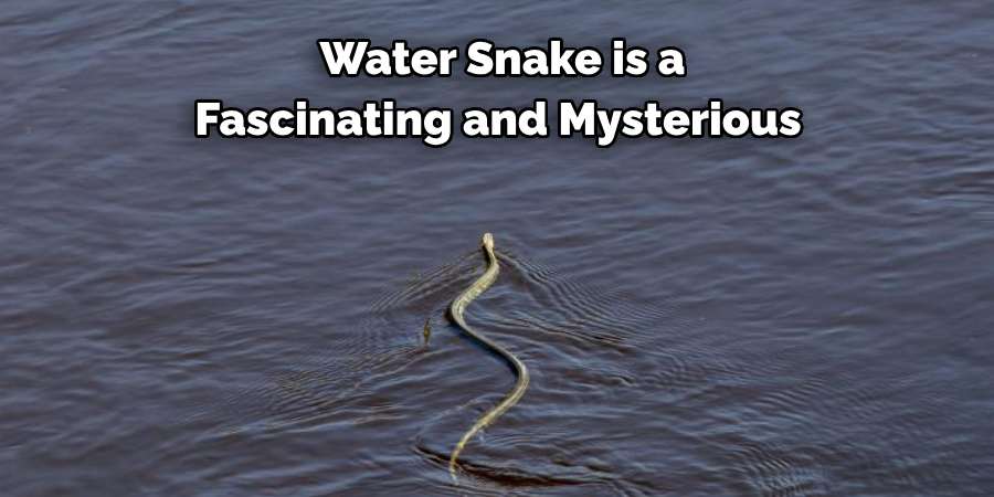  Water Snake is a 
Fascinating and Mysterious