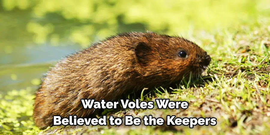 Water Voles Were 
Believed to Be the Keepers