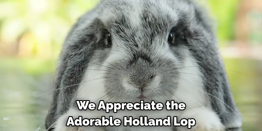 We Appreciate the 
Adorable Holland Lop