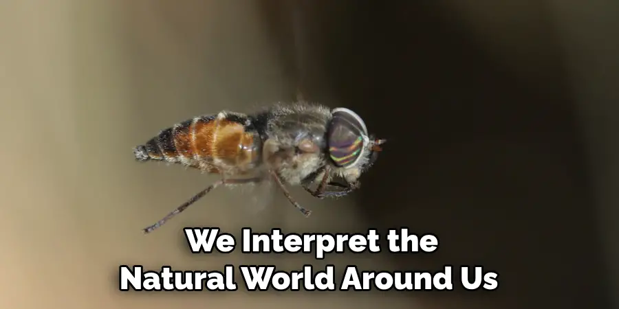  We Interpret the 
Natural World Around Us