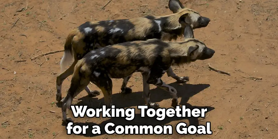 Working Together for a Common Goal