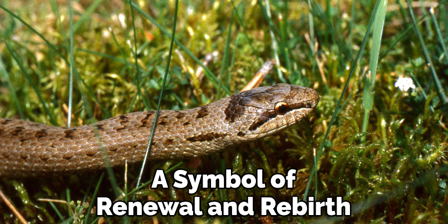 A Symbol of Renewal and Rebirth