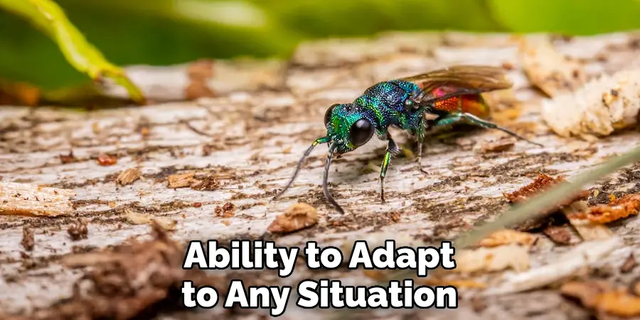 Ability to Adapt to Any Situation