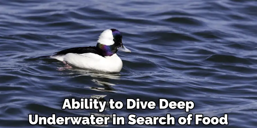 Ability to Dive Deep Underwater in Search of Food