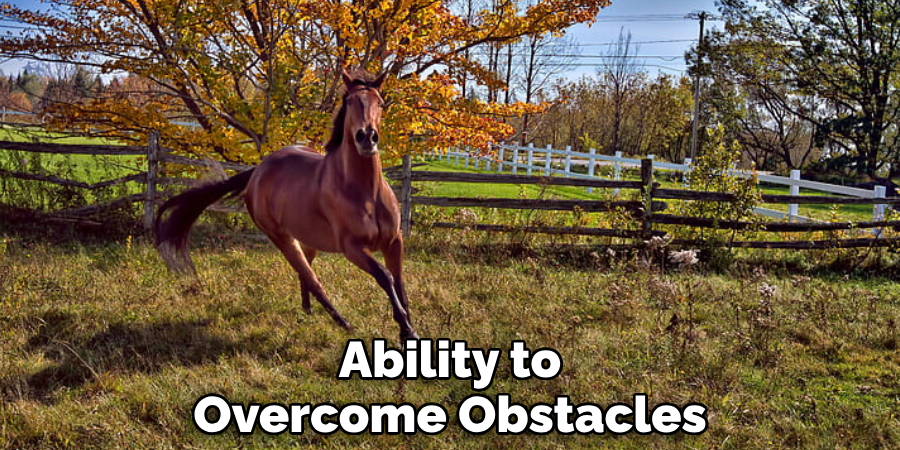 Ability to Overcome Obstacles