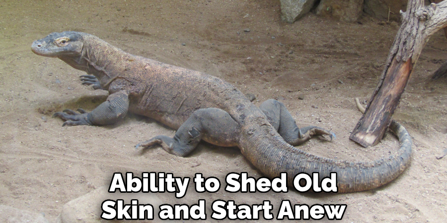 Ability to Shed Old Skin and Start Anew