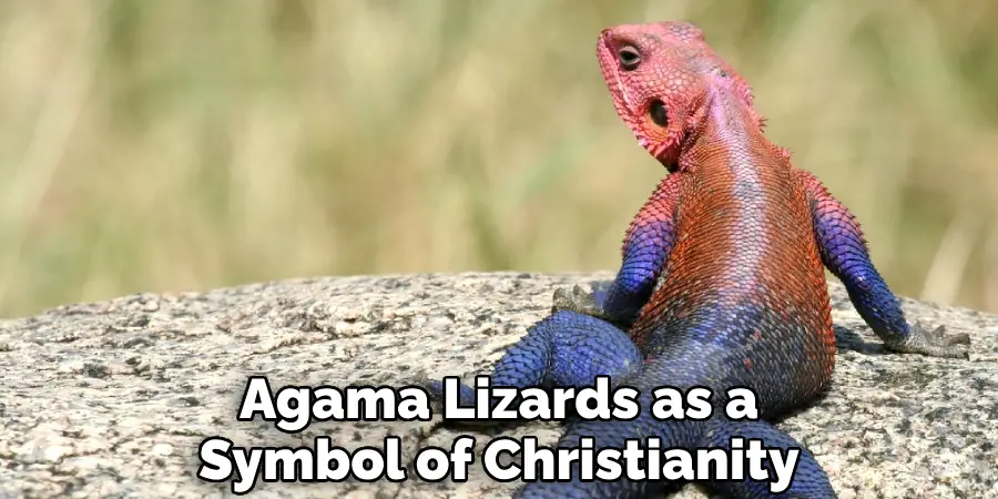Agama Lizards as a Symbol of Christianity