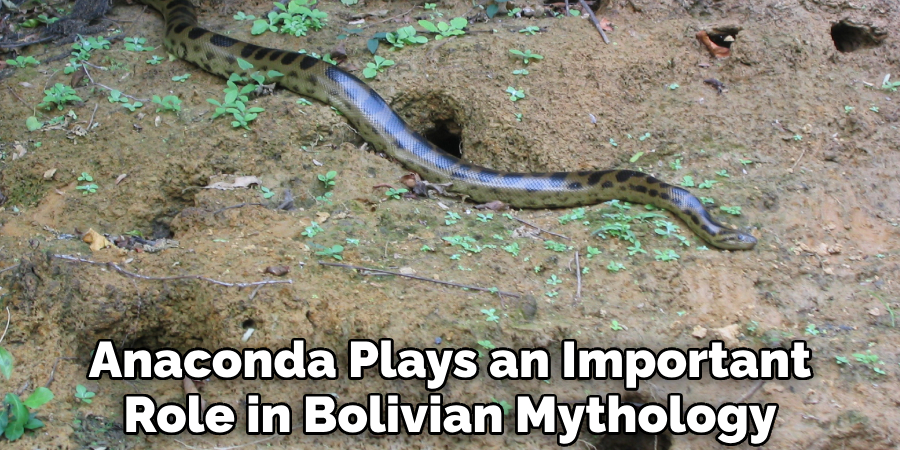 Anaconda Plays an Important Role in Bolivian Mythology