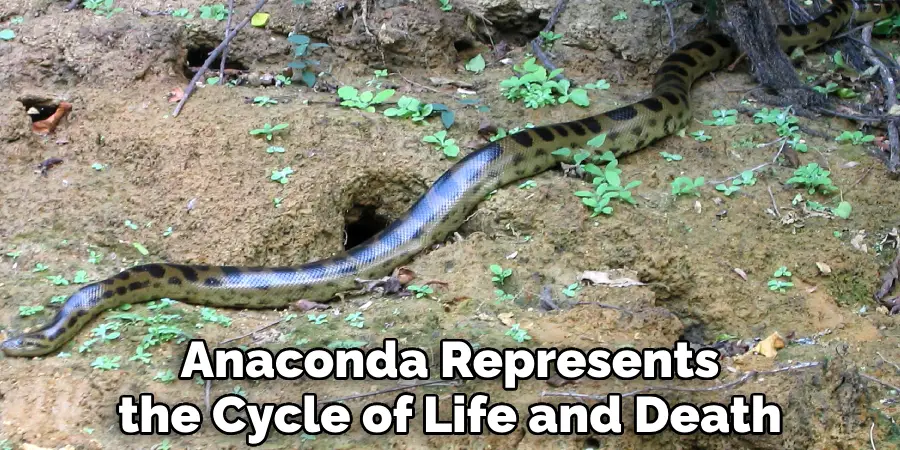 Anaconda Represents the Cycle of Life and Death