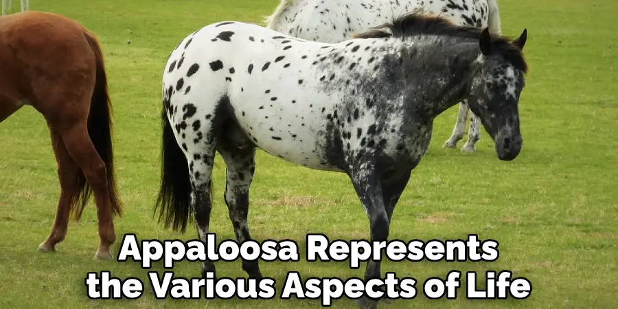 Appaloosa Represents the Various Aspects of Life